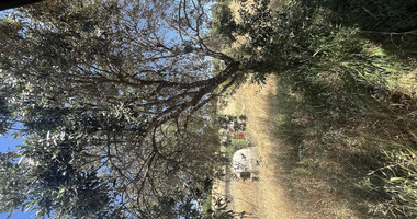 Large Field with Stone House for Sale in Sotira Lemesou