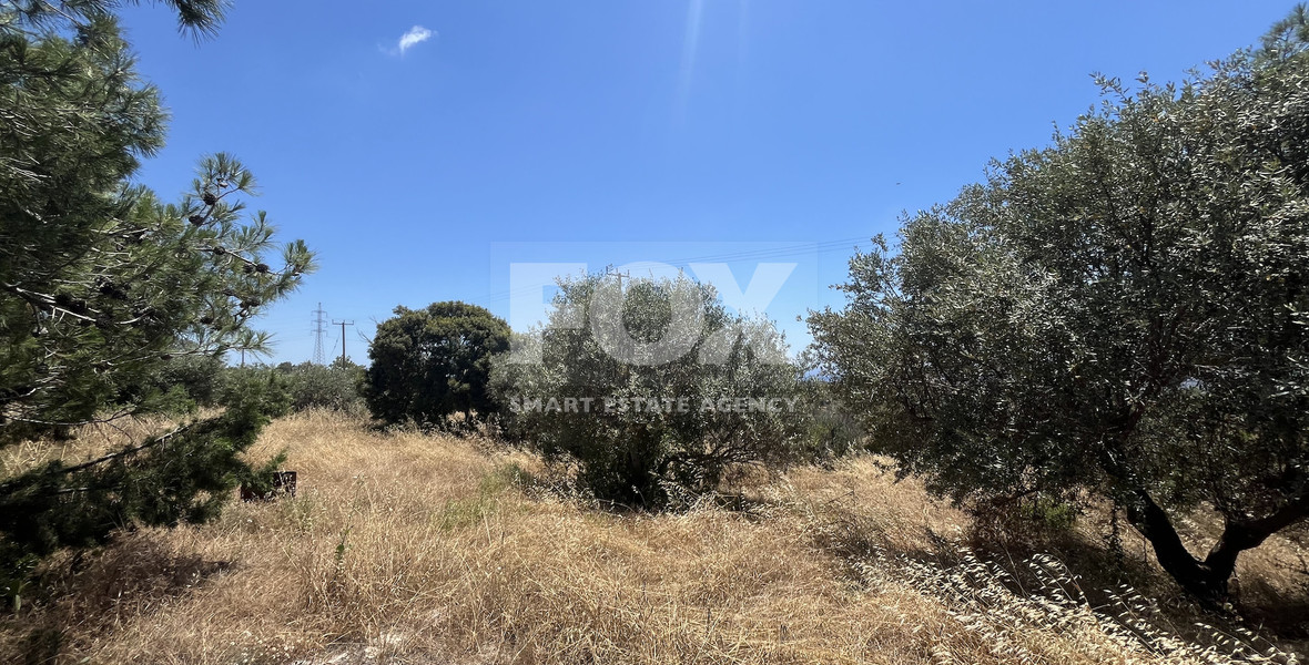 Large Field with Stone House for Sale in Sotira Lemesou