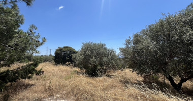 Large Field with Stone House for Sale in Sotira Lemesou