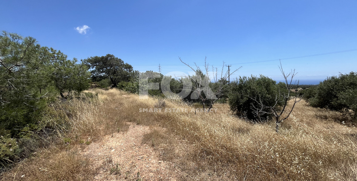 Large Field with Stone House for Sale in Sotira Lemesou