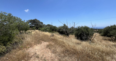 Large Field with Stone House for Sale in Sotira Lemesou