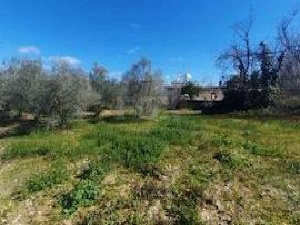 Residential Field for Sale in Koili, Paphos – H1 Residential Zone, 120% Building Density