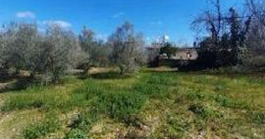 Residential Field for Sale in Koili, Paphos – H1 Residential Zone, 120% Building Density