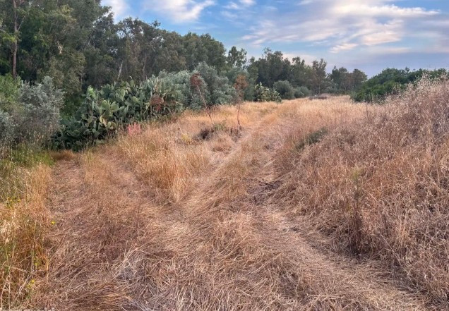 Residential Field for Sale in Monagroulli, Limassol