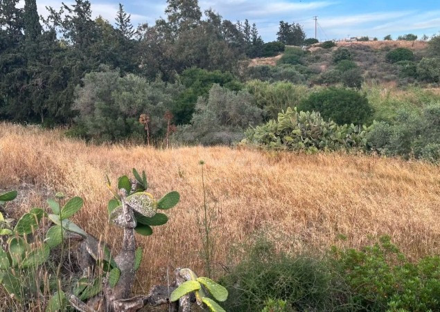 Residential Field for Sale in Monagroulli, Limassol
