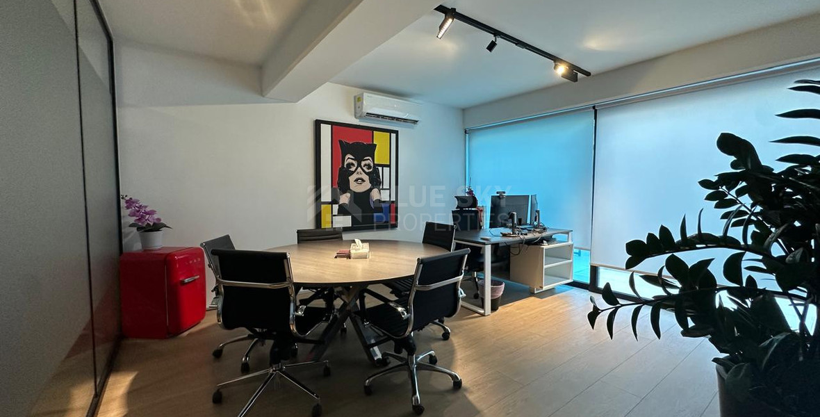 Premium Office Spaces for Rent | 250 m² | Prime Business Location in Katholiki, (Four Premium Units Available)