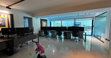 Premium Office Building for Rent | 1,000 m² | Private Garden | Prime Business Location | Katholiki