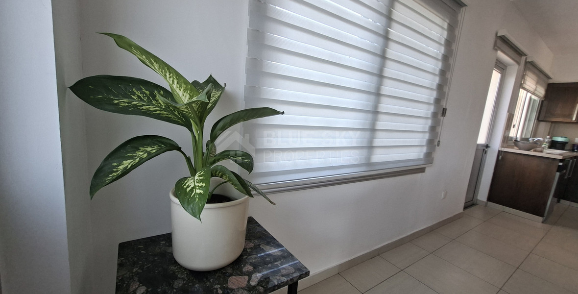 Stunning Four Bedroom Villa For Rent, paphos