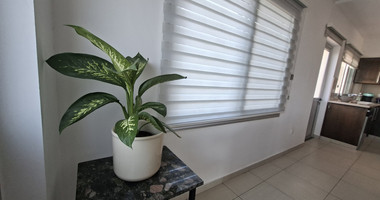 Stunning Four Bedroom Villa For Rent, paphos
