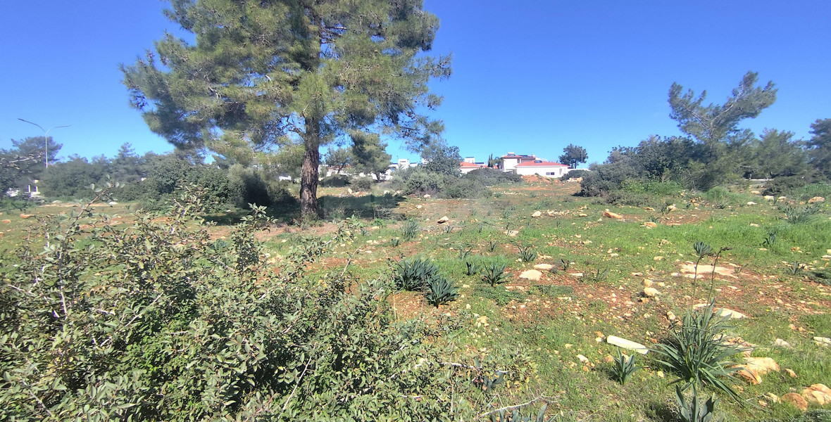 Residential Plot for Sale in Souni Zanakia | 752 m²