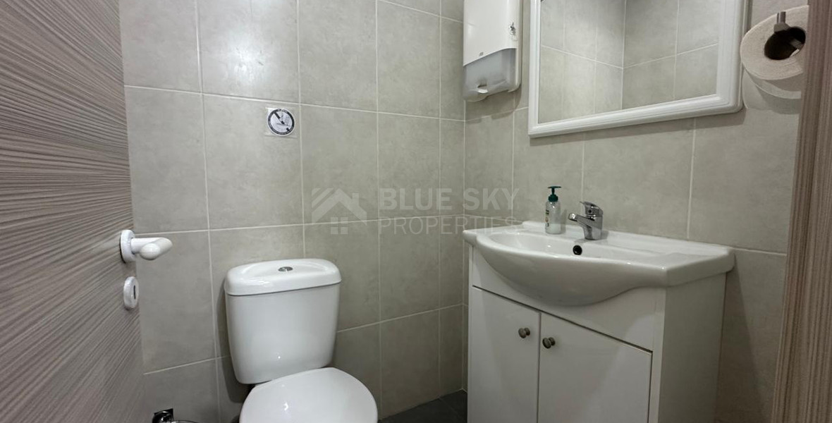 Premium Fully Furnished Office  240 m² in Agia Zoni