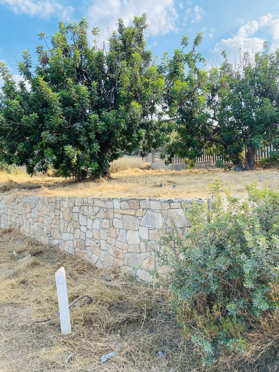 Residential Building Plot for Sale in Pissouri
