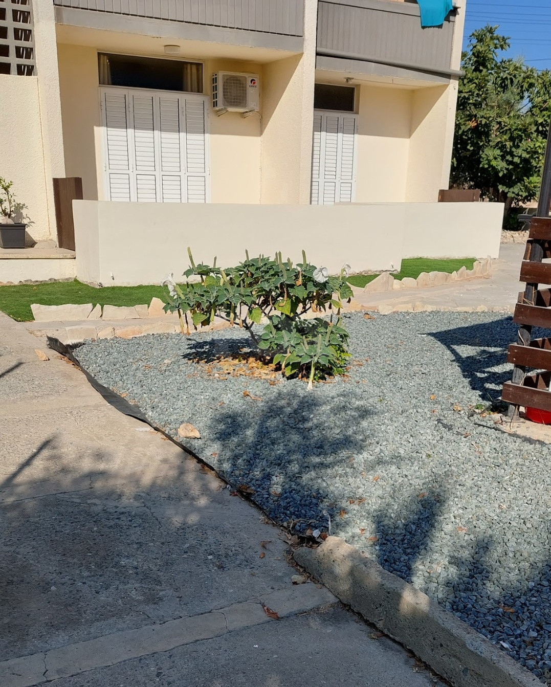 2-Bedroom Ground Floor Apartment in Kapsalos, Limassol