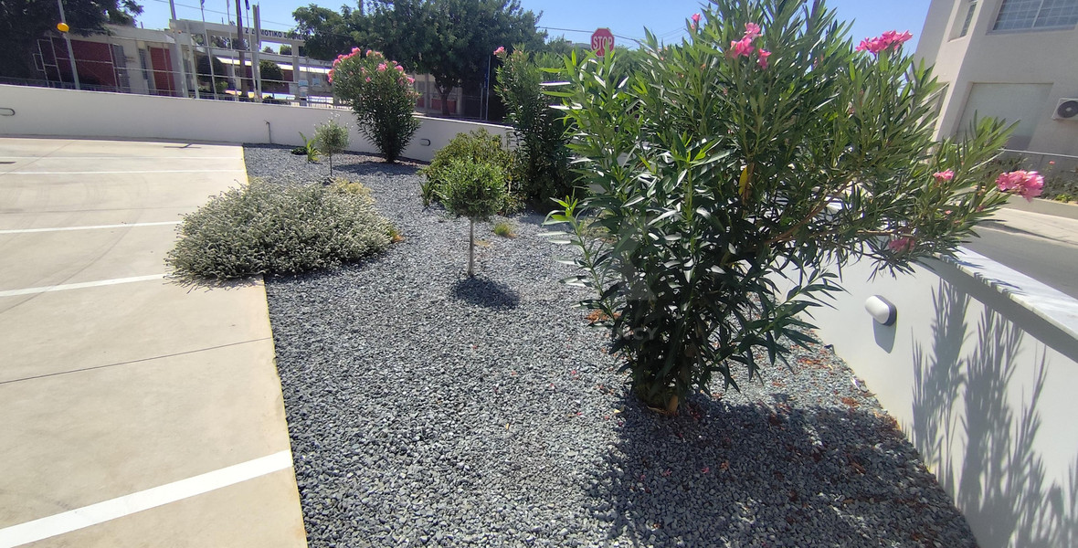 Brand-New 1-Bedroom Apartment with Sea View in Apostolos Andreas