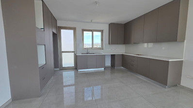 Brand new Two bedroom penthouse with Roof Garden for rent in Kato Polemidia