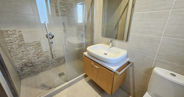 Spacious Four Bedroom Penthouse in Agia Filaxi