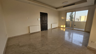 Spacious Four Bedroom Penthouse in Agia Filaxi