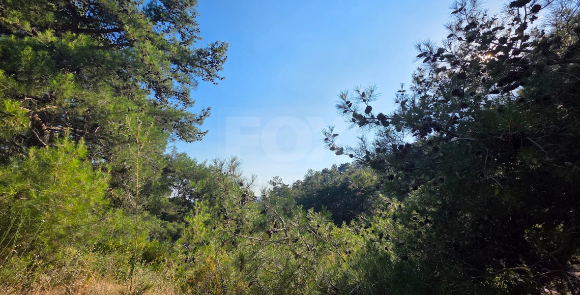 Scenic Residential Plot in Pano Platres with Mountain Views
