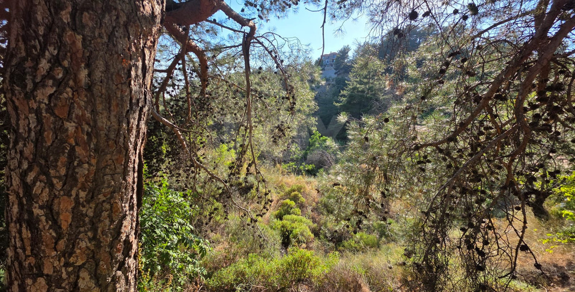 Scenic Residential Plot in Pano Platres with Mountain Views
