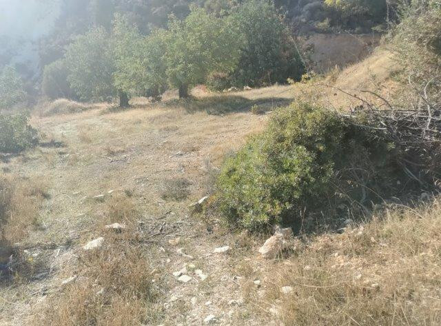 Agricultural Land for Sale – Asgata, Limassol