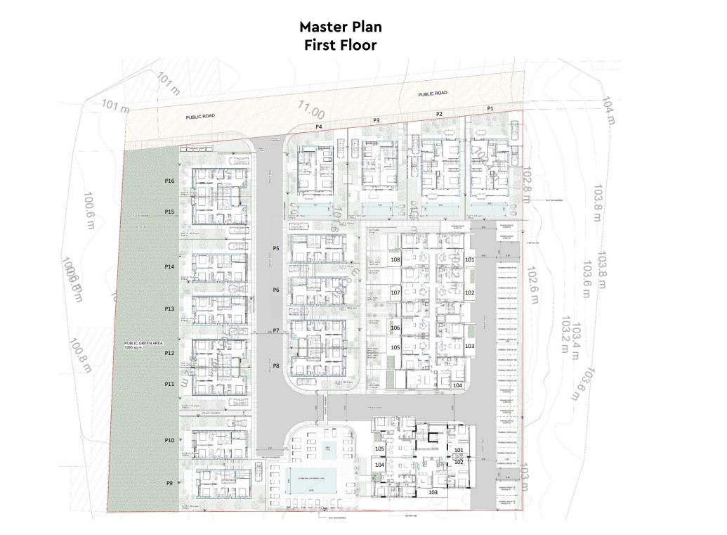Luxury two Bedroom key ready apartment in Emba, Paphos | Communal swimming pool & Energy Class A-Contemporary Living in a Serene Setting