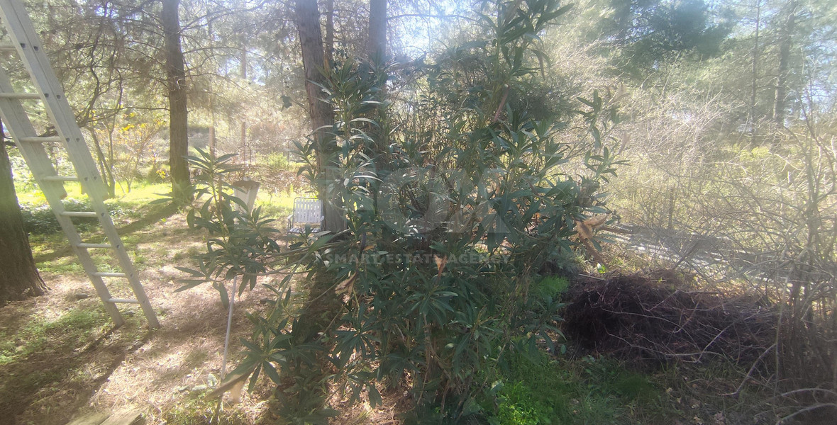 Land for Sale in Laneia, Limassol