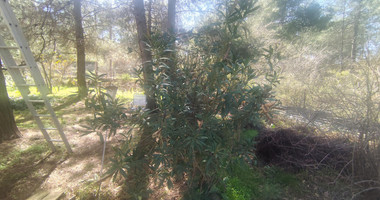 Land for Sale in Laneia, Limassol