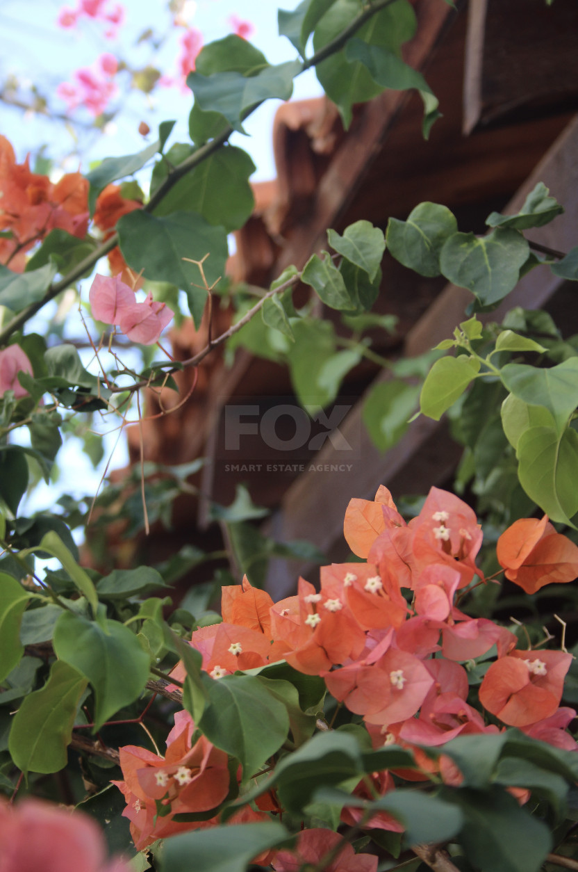 Charming 3-Bedroom Bungalow with Large Garden – Panthea, Limassol