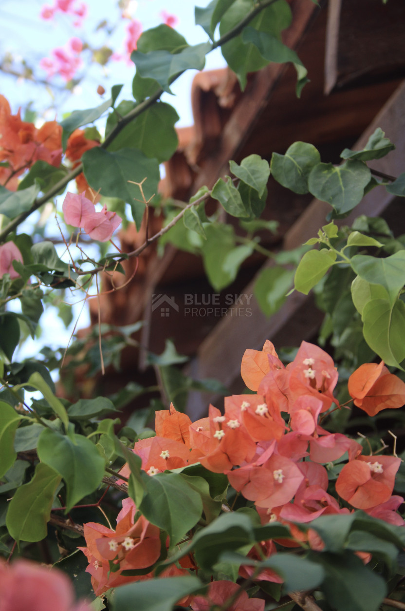 Charming 3-Bedroom Bungalow with Large Garden – Panthea, Limassol
