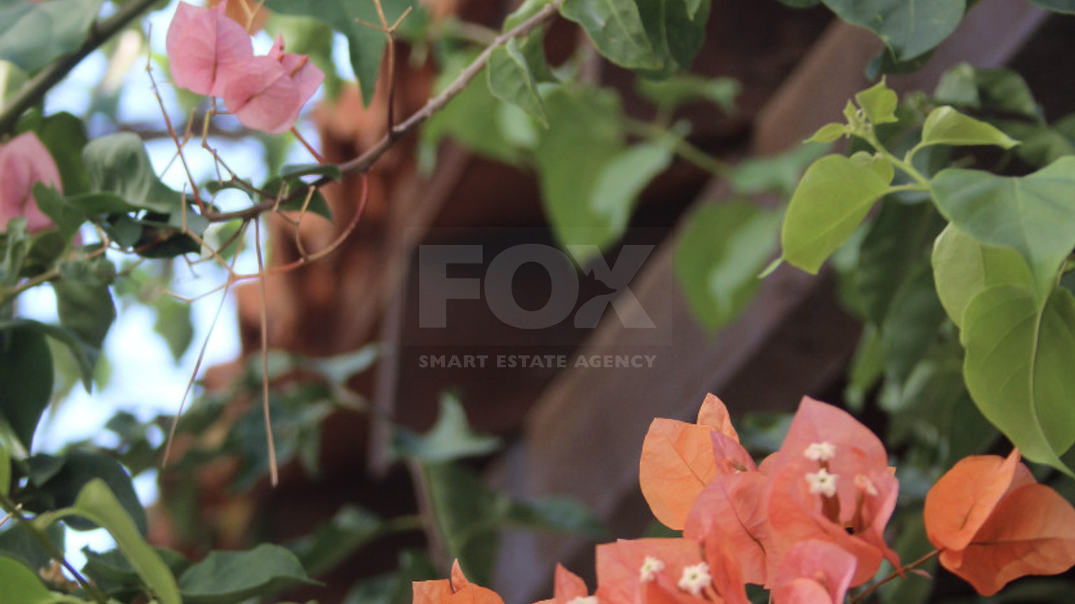 Charming 3-Bedroom Bungalow with Large Garden – Panthea, Limassol