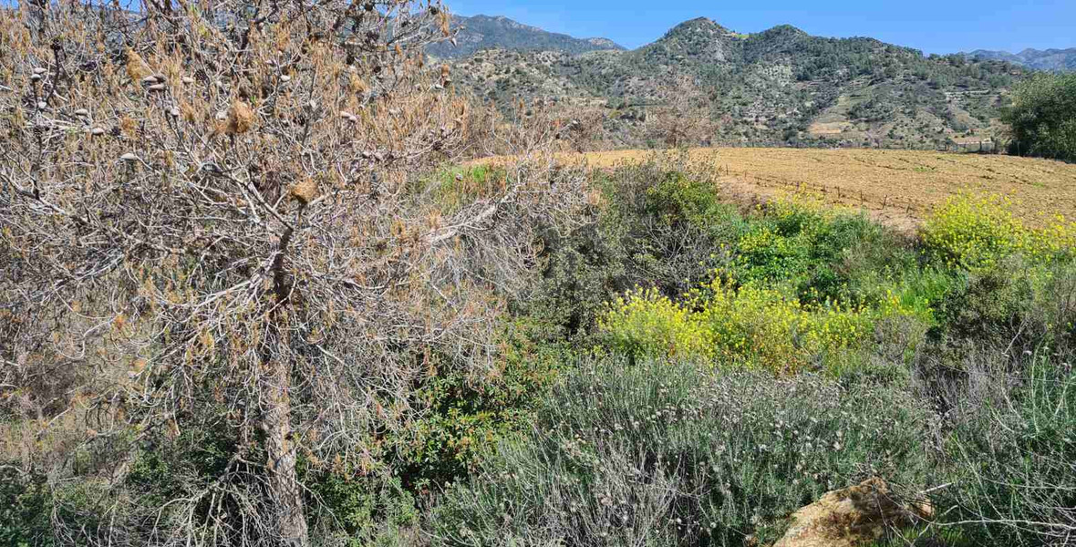 Land for Sale in Apsiou, Limassol – Z1 Protected Zone