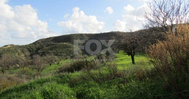 Land For Sale In Pissouri Limassol Cyprus