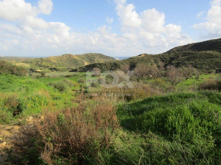 Land For Sale In Pissouri Limassol Cyprus