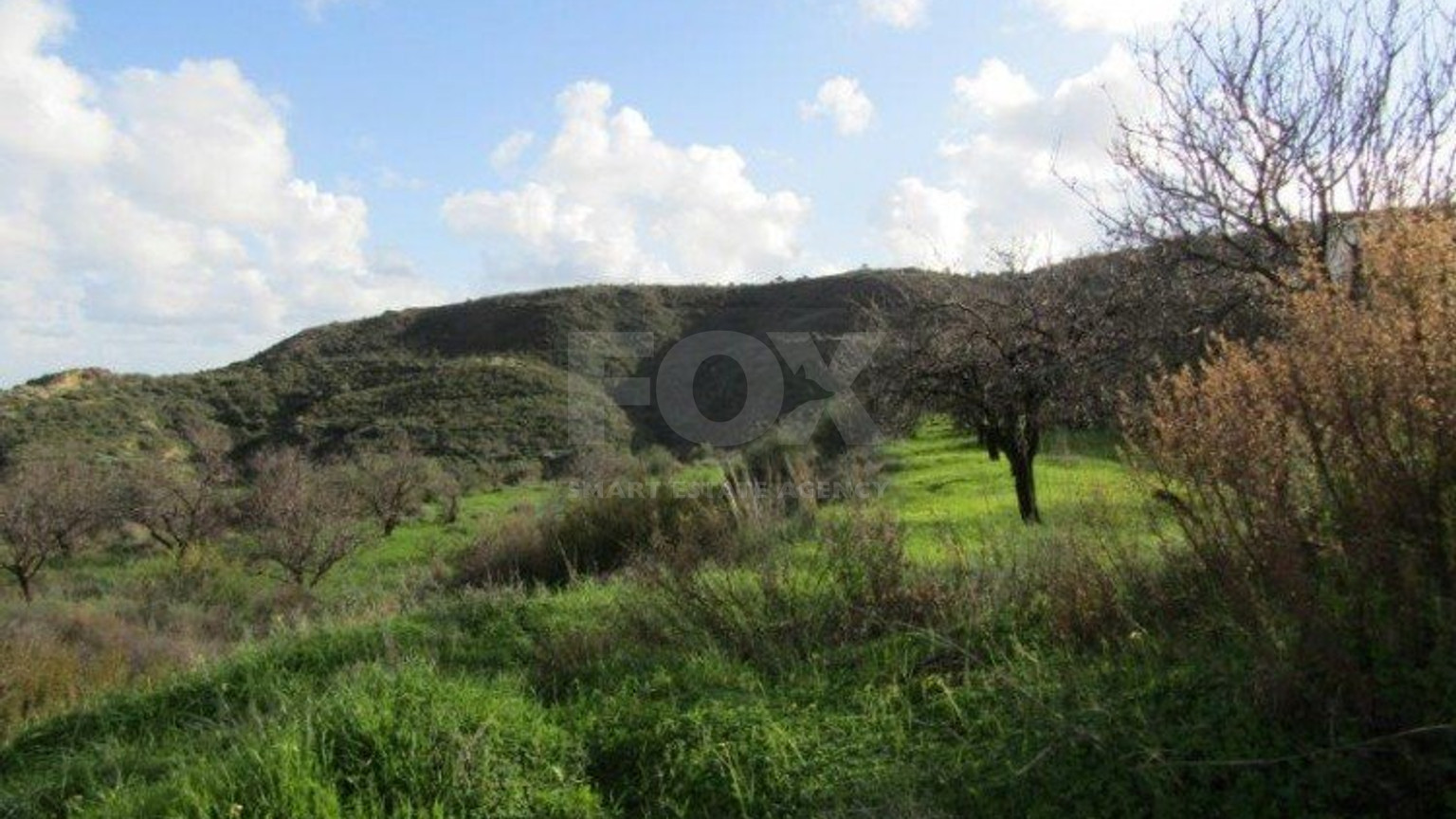Land For Sale In Pissouri Limassol Cyprus