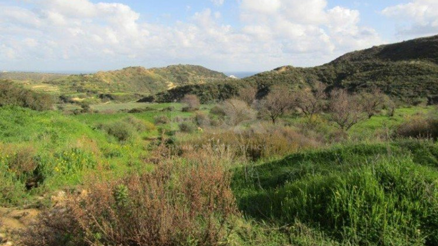 Land For Sale In Pissouri Limassol Cyprus