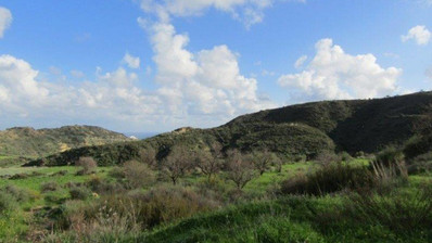 Land For Sale In Pissouri Limassol Cyprus