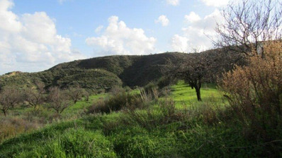 Land For Sale In Pissouri Limassol Cyprus