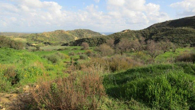 Land For Sale In Pissouri Limassol Cyprus
