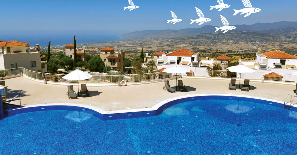 Studio with Private Roof Garden & Sea Views | Exclusive Coastal Living for sale