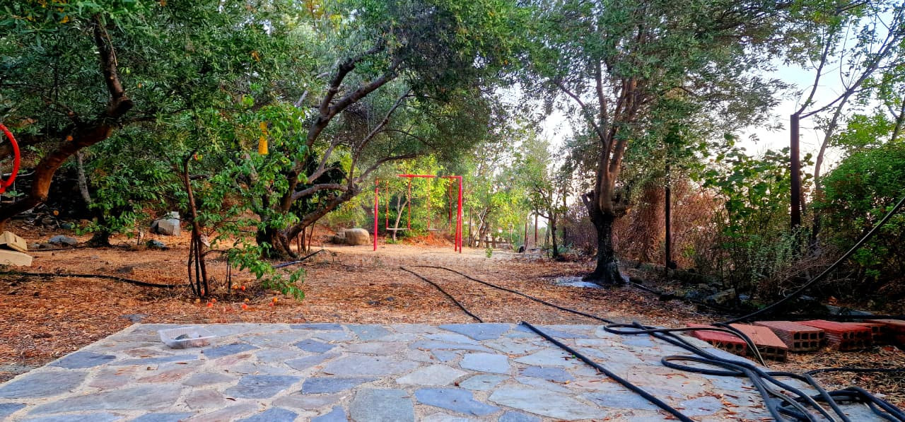Charming Bungalow in Zoopigi, Limassol District – Mountain & Vineyard Views