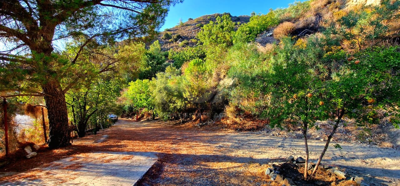 Charming Bungalow in Zoopigi, Limassol District – Mountain & Vineyard Views