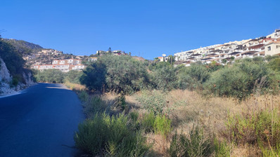 Large Residential Land in Pegeia with Sea Views for Sale