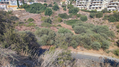 Large Residential Land in Pegeia with Sea Views for Sale