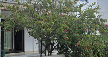 Spacious three-Bed Semi-Detached House in Tremithousa for Sale