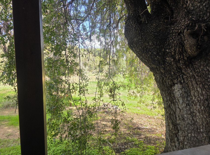 Spacious three-Bed Semi-Detached House in Tremithousa for Sale