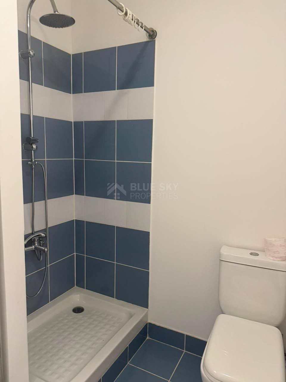Four-Bedroom Detached House for Rent in Souni–Zanakia with Sea Views