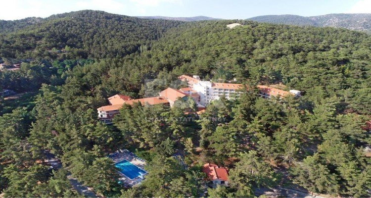 Land For Sale In Kato Platres Limassol Cyprus