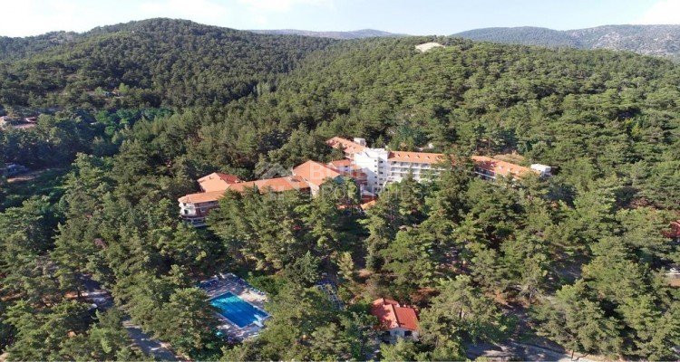 Land For Sale In Kato Platres Limassol Cyprus