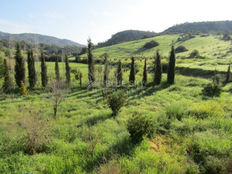 6 Bed House For Sale In Foinikaria Limassol Cyprus