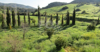 6 Bed House For Sale In Foinikaria Limassol Cyprus